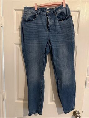 Judy Blue Indigo Skinny Jeans 212